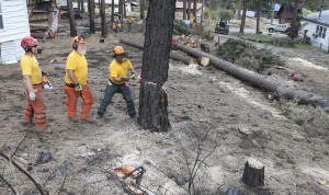 James Ragsdale of Atlanta, Texas (right), hammers a wedge to take down a tree damaged in the Carlton Complex fire that destroyed more than 256,000 acres of Washington this summer. Garry McDugle, of Palestine, Texas (left), and Mike Lene of Beaumont, Texas, watch Ragsdale’s effort. Volunteers from six Southern Baptist state conventions have worked together to help the residents of North Central Washington through ash-out and chainsaw work. NAMB photo by Don Seabrook
