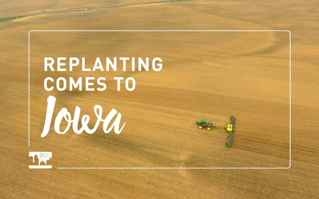 Replanting Comes to Iowa