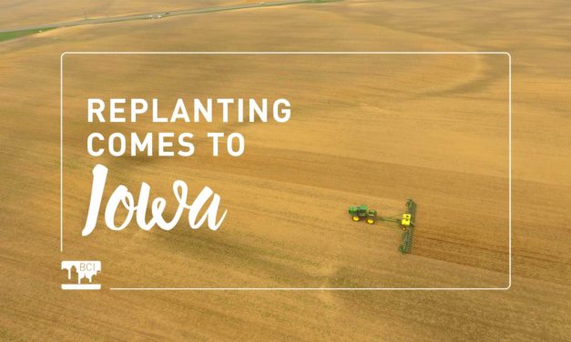 Replanting Comes to Iowa